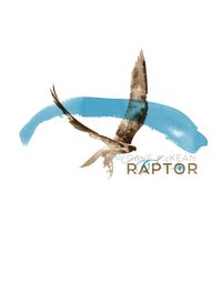 Bild vom Artikel Raptor vom Autor Dave McKean