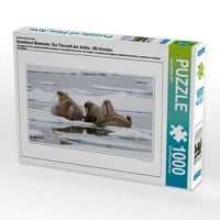 Produktbild: CALVENDO Puzzle Ein Motiv aus dem Kalender Emotional Moments: Die Tierwelt der Arktis. UK-Version | 1000 Teile Lege-Gr&ouml;&szlig;e 64x48cm Foto-Puzzle f&uuml;r gl&uuml;ckliche Stunden