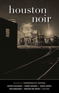 Bild vom Artikel Houston Noir vom Autor 