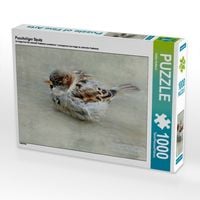 Produktbild: CALVENDO Puzzle Puscheliger Spatz | 1000 Teile Lege-Gr&ouml;&szlig;e 64x48cm Foto-Puzzle f&uuml;r gl&uuml;ckliche Stunden