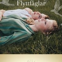 Produktbild: Flyttf&aring;glar
