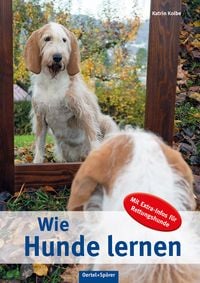 Produktbild: Wie Hunde lernen