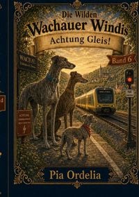 Produktbild: Die Wilden Wachauer Windis / Achtung Gleise! Band 6
