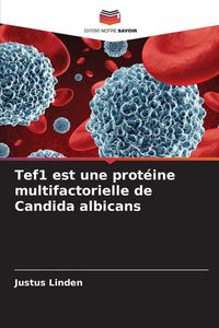 Produktbild: Tef1 est une prot&eacute;ine multifactorielle de Candida albicans