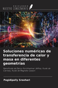 Produktbild: Soluciones num&eacute;ricas de transferencia de calor y masa en diferentes geometr&iacute;as