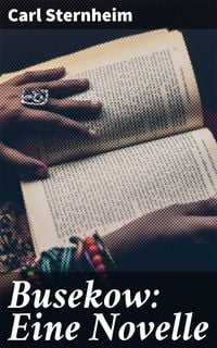 Produktbild: Busekow: Eine Novelle