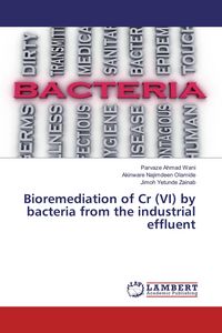 Produktbild: Bioremediation of Cr (VI) by bacteria from the industrial effluent