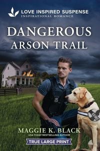 Produktbild: Dangerous Arson Trail