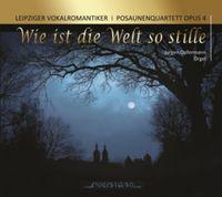 Produktbild: Wie ist die Welt so stille