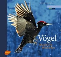 Produktbild: V&ouml;gel - Magische Momente