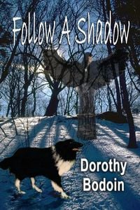 Produktbild: Follow a Shadow (A Foxglove Corners Mystery, #14)