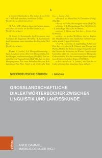 Produktbild: Gro&szlig;landschaftliche Dialektw&ouml;rterb&uuml;cher zwischen Linguistik und Landeskunde