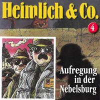 Produktbild: Aufregung in der Nebelsburg