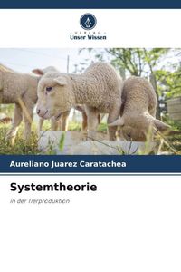 Produktbild: Systemtheorie