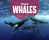 Produktbild: Pod of Whales
