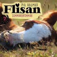 Produktbild: Sommardr&ouml;mmar