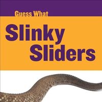 Produktbild: Slinky Sliders