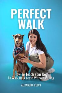 Produktbild: Perfect Walk How To Teach Your Dog To Walk On A Leash Without Pulling