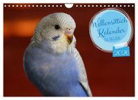 Produktbild: Wellensittichkalender! - Das Original (Wandkalender 2026 DIN A4 quer), CALVENDO Monatskalender