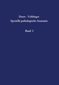 Produktbild: Niere und ableitende Harnwege