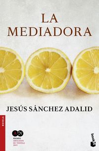 Bild vom Artikel La mediadora vom Autor Jesús Sánchez Adalid