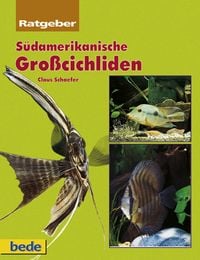 Produktbild: S&uuml;damerikanische Gro&szlig;cichliden