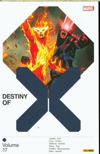Produktbild: Destiny of X. Tome 17