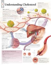 Produktbild: Understanding Cholesterol Char