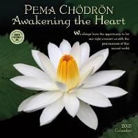 Produktbild: Cal 2015-Pema Chodron