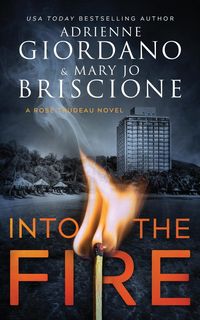 Produktbild: Into The Fire