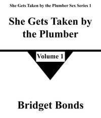 Produktbild: She Gets Taken by the Plumber 1