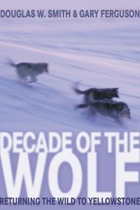 Produktbild: Decade of the Wolf