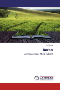 Produktbild: Boron