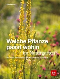 Produktbild: Welche Pflanze passt wohin im Naturgarten?