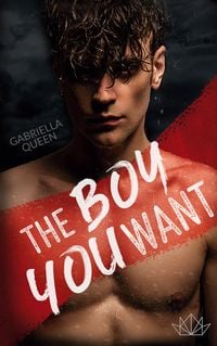 Produktbild: The Boy You Want