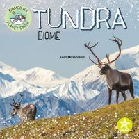 Produktbild: Tundra Biome