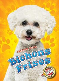 Produktbild: Bichons Frises