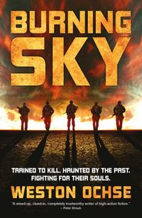 Produktbild: Ochse, W: Burning Sky