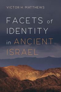 Produktbild: Facets of Identity in Ancient Israel