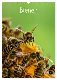 Produktbild: Bienen (Wandkalender 2027 DIN A3 hoch), CALVENDO Monatskalender