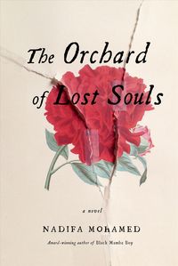 Produktbild: Orchard Of Lost Souls