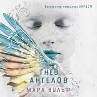 Produktbild: Gnev angelov
