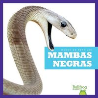 Produktbild: Mambas Negras (Black Mambas)