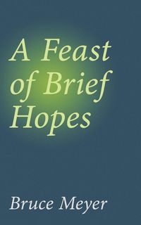 Produktbild: Feast of Brief Hopes