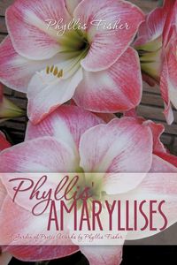 Produktbild: Phyllis' Amaryllises