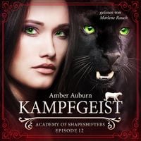 Produktbild: Kampfgeist, Episode 12 - Fantasy-Serie