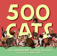 Produktbild: 500 Cats: A Memoir of a Life Rescued by Tragedy