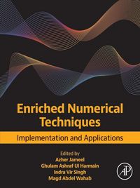 Produktbild: Enriched Numerical Techniques