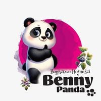 Produktbild: Panda Benny - Bogactwo Hojno&iquest;ci