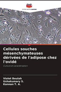 Produktbild: Cellules souches m&eacute;senchymateuses d&eacute;riv&eacute;es de l'adipose chez l'ovid&eacute;